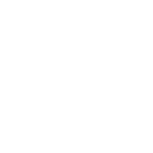 Zivex